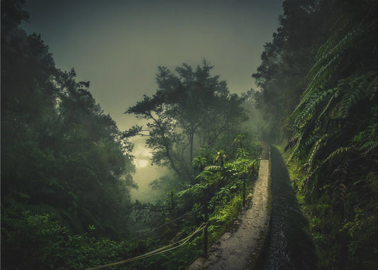 Passeggiata Levada | Carta da Parati Fotografica