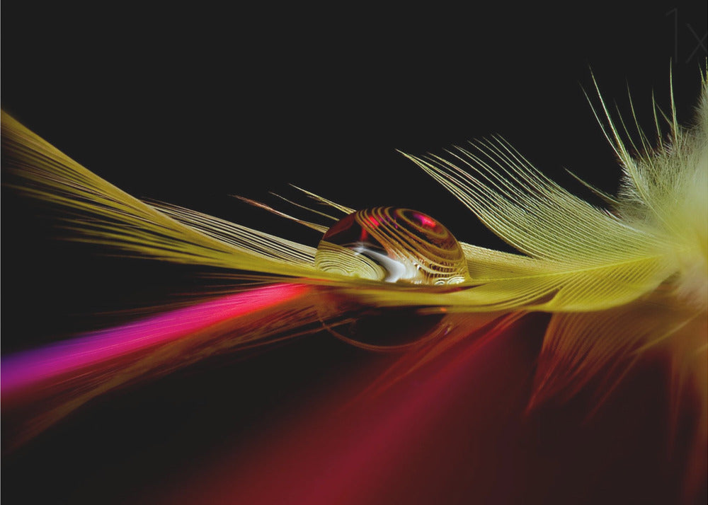 Colores en la gota | Posters  - Impresiones de Arte