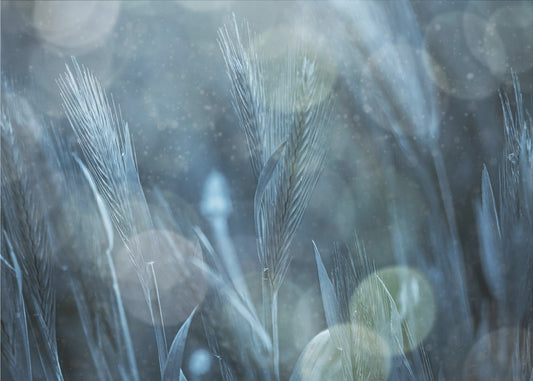 Fantastisk natur | Fototapet