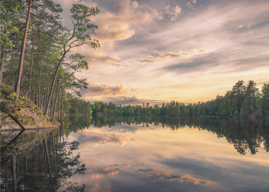 Lago Tarmsjön, Svezia | Carta da Parati Fotografica