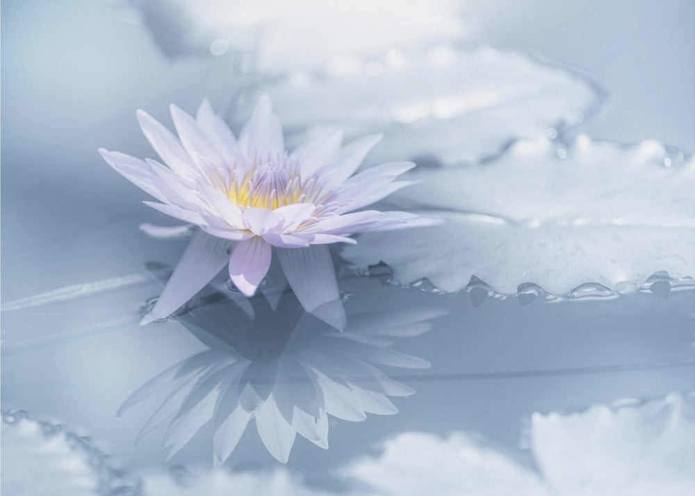 Reflexión | Papel Pintado Fotográfico