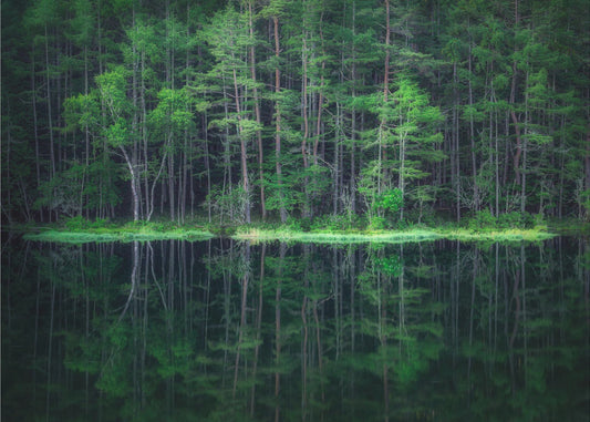 Mondo verde | Carta da Parati Fotografica