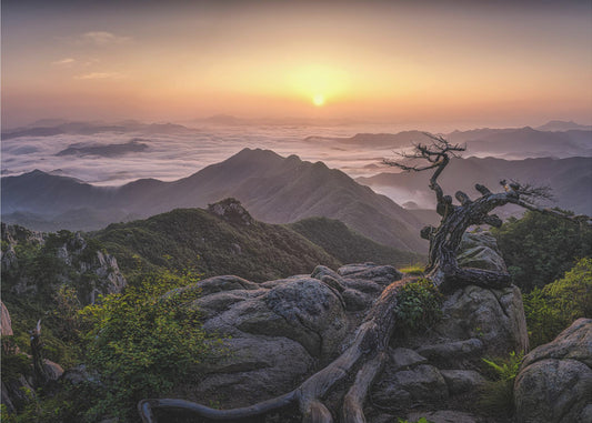 Alba in cima | Carta da Parati Fotografica