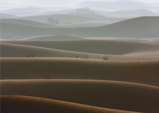 Matin brumeux | Tableaux sur Toile