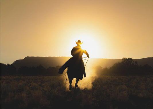Il Cowboy | Stampe su Tela