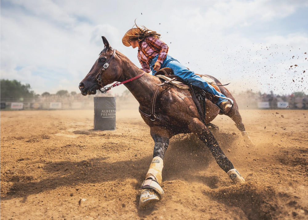 Slam on the Brakes | Canvas