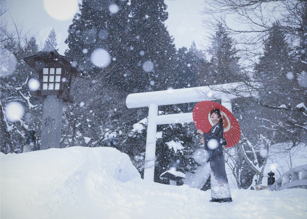 Vinterhelligdom i Japan | Lærredsbilleder