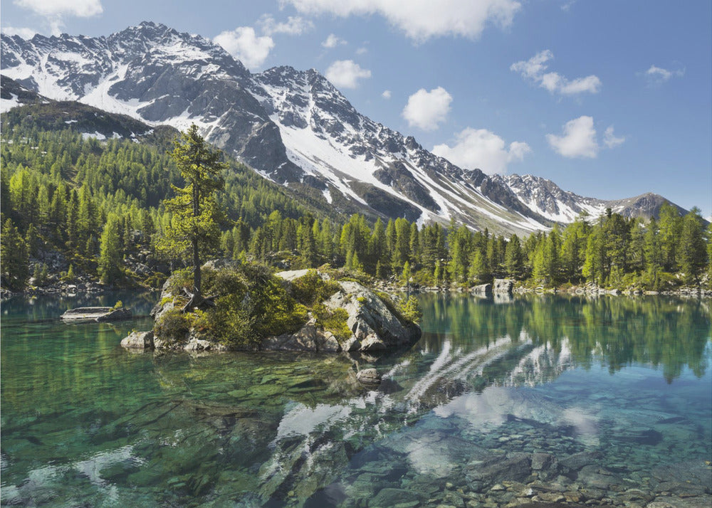 Lago di Montagna Verde | Stampe su Tela