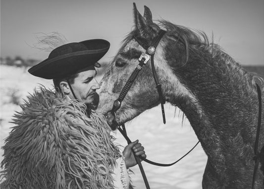 Bestevenn | Lerretsbilder