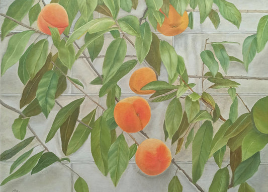 Pesche | Poster - Stampe d’Arte
