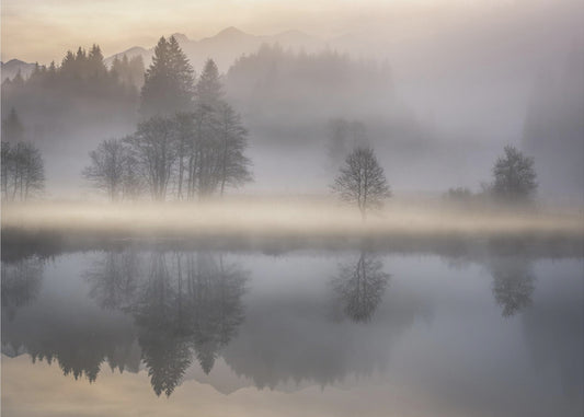 Mystisk Morgen III | Fototapeter