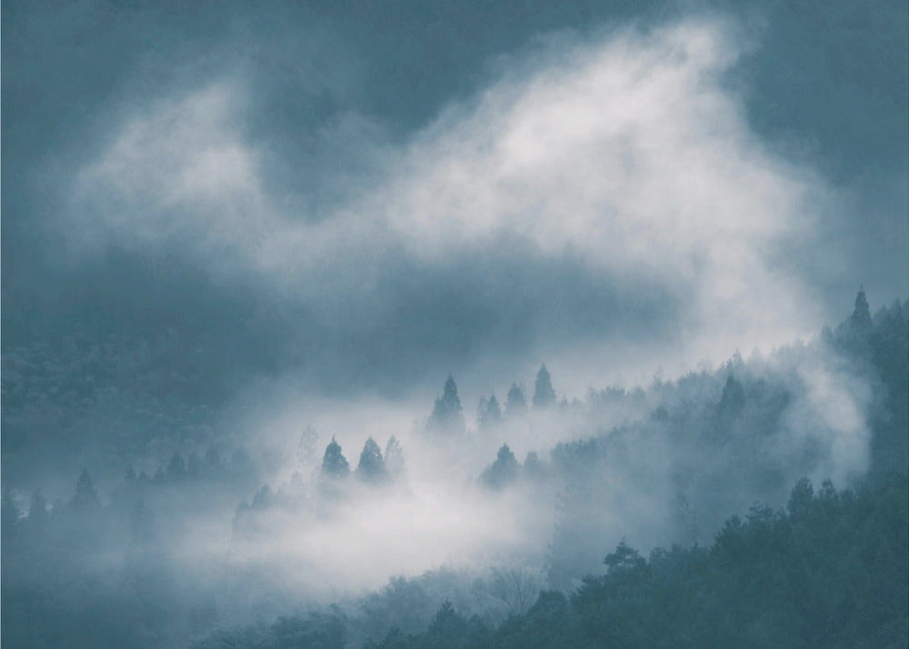 Nebel | Fototapeten