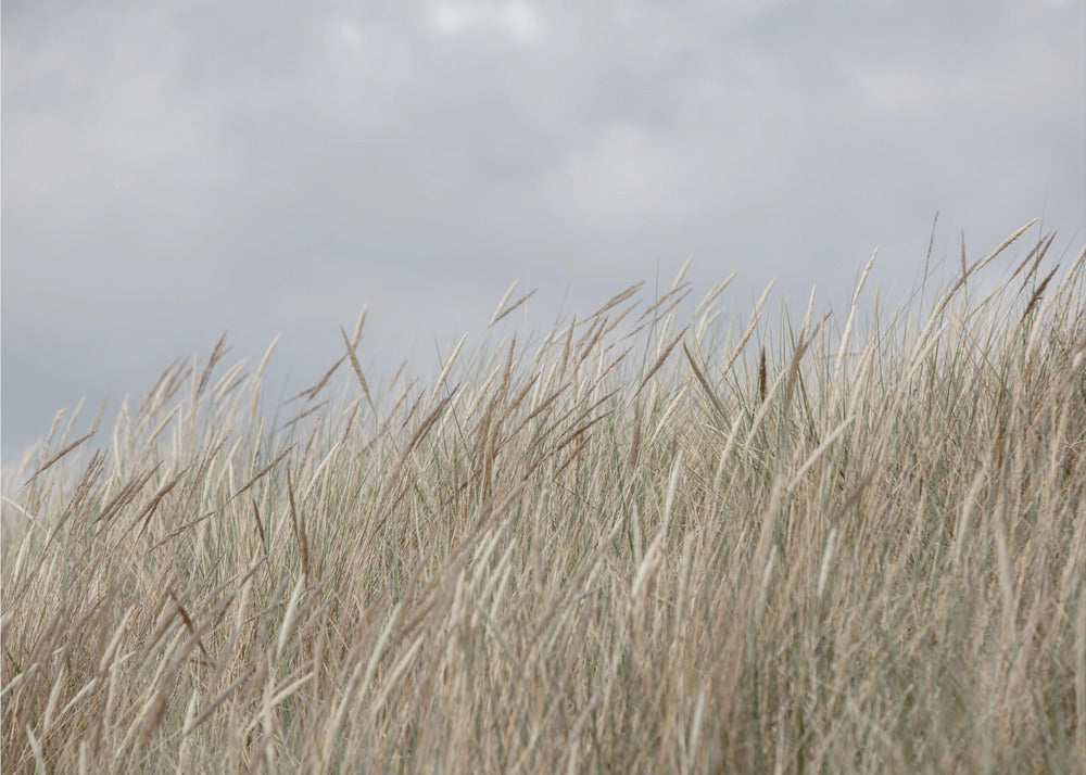 Dünen und Wolken | Fototapeten