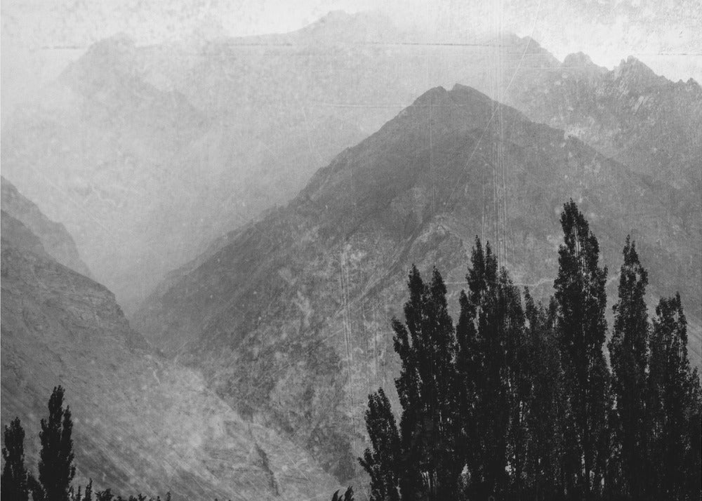 Bäume in den Bergen | Leinwand-Bilder