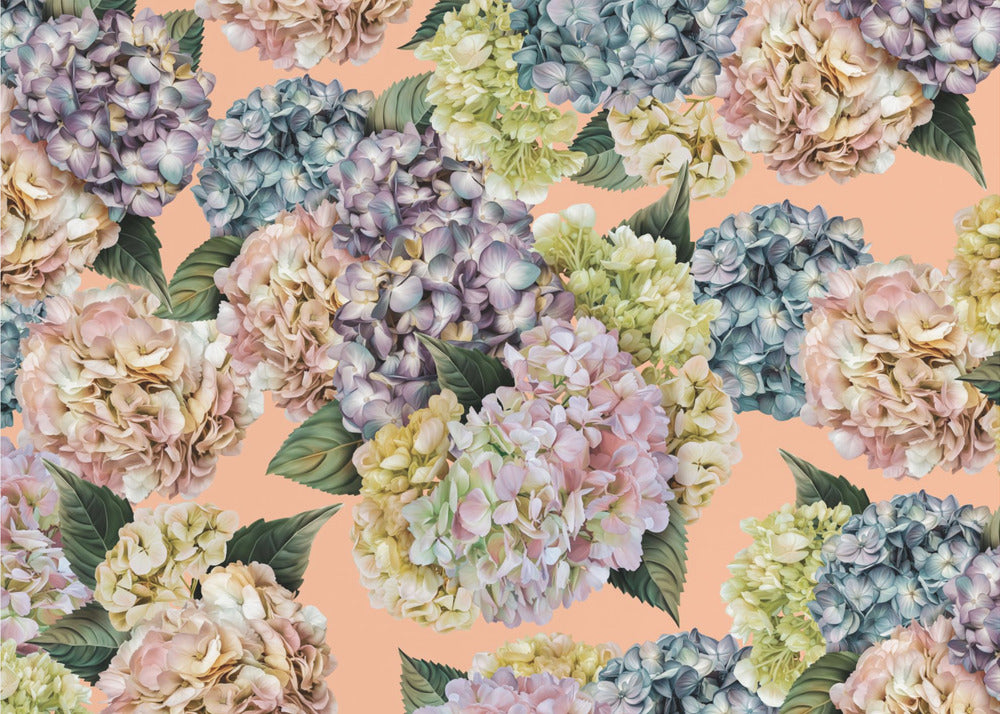 Hortensias_Peach Fuzz | Papier Peint Photo