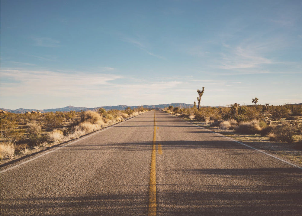Route de Joshua Tree | Tableaux sur Toile