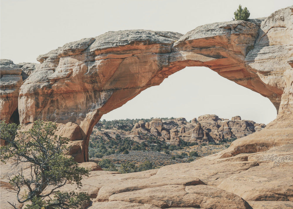 Vue vers l'ouest | Tableaux sur Toile