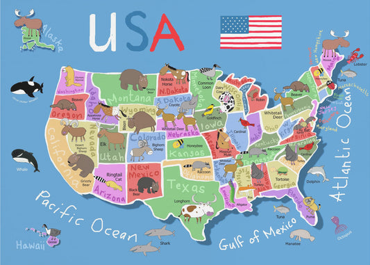 Mapa ilustrado de los Estados Unidos de América por Carla Daly | Impresiones en Lienzo
