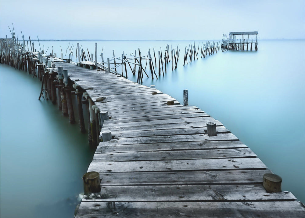 Carrasqueira II | Fototapet