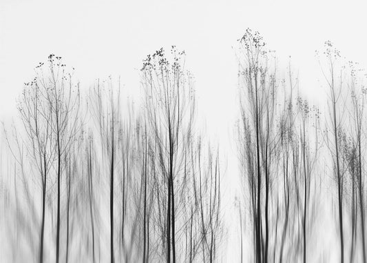 Kein Grund | Poster - Kunstdruck