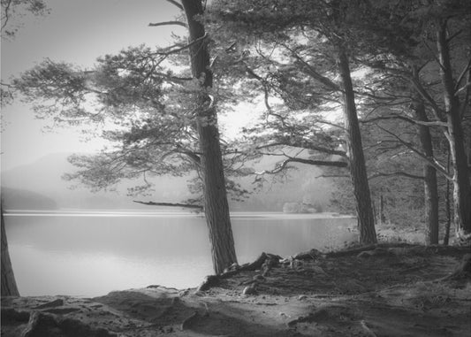 Loch an Eilean | Valokuvatapetit