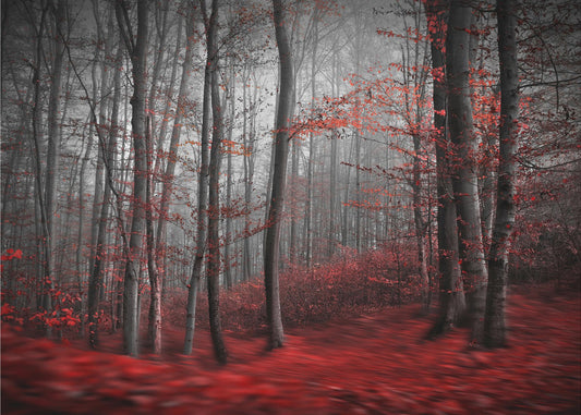 Blodiga floden | Fototapet