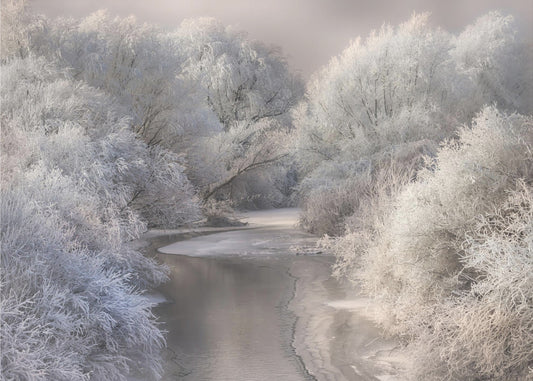 Canción de invierno | Papel Pintado Fotográfico