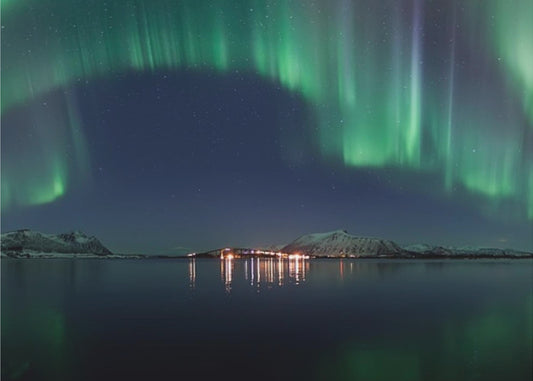 Notte magica | Carta da Parati Fotografica