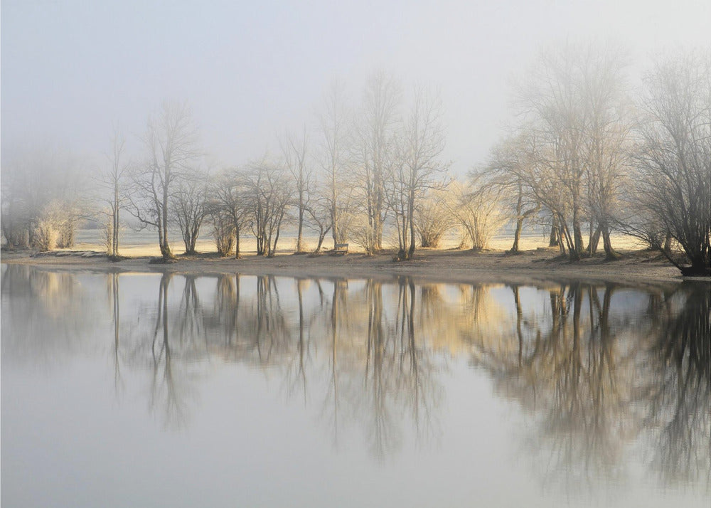 matin de janvier | Papier Peint Photo