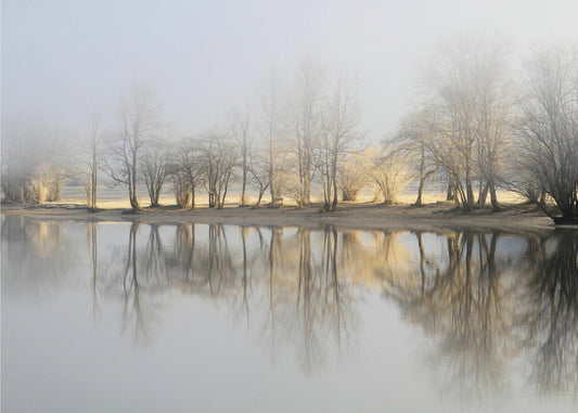 mattina di gennaio | Carta da Parati Fotografica