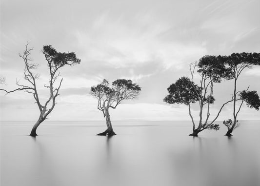 Annegare non salutare | Carta da Parati Fotografica
