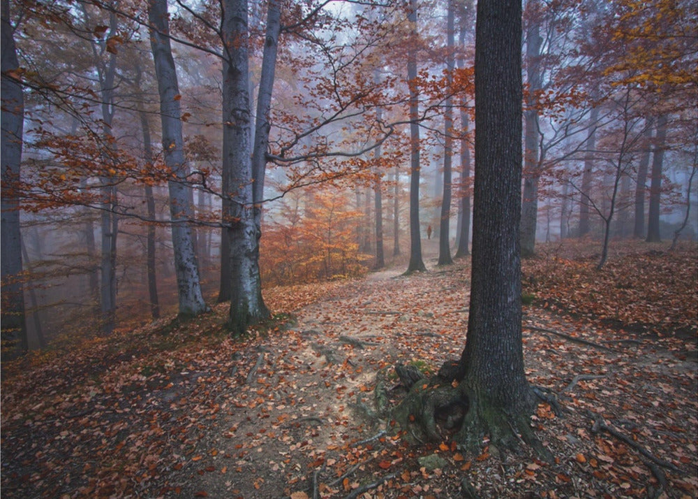 Jag var vilse, jag blev funnen Fototapet