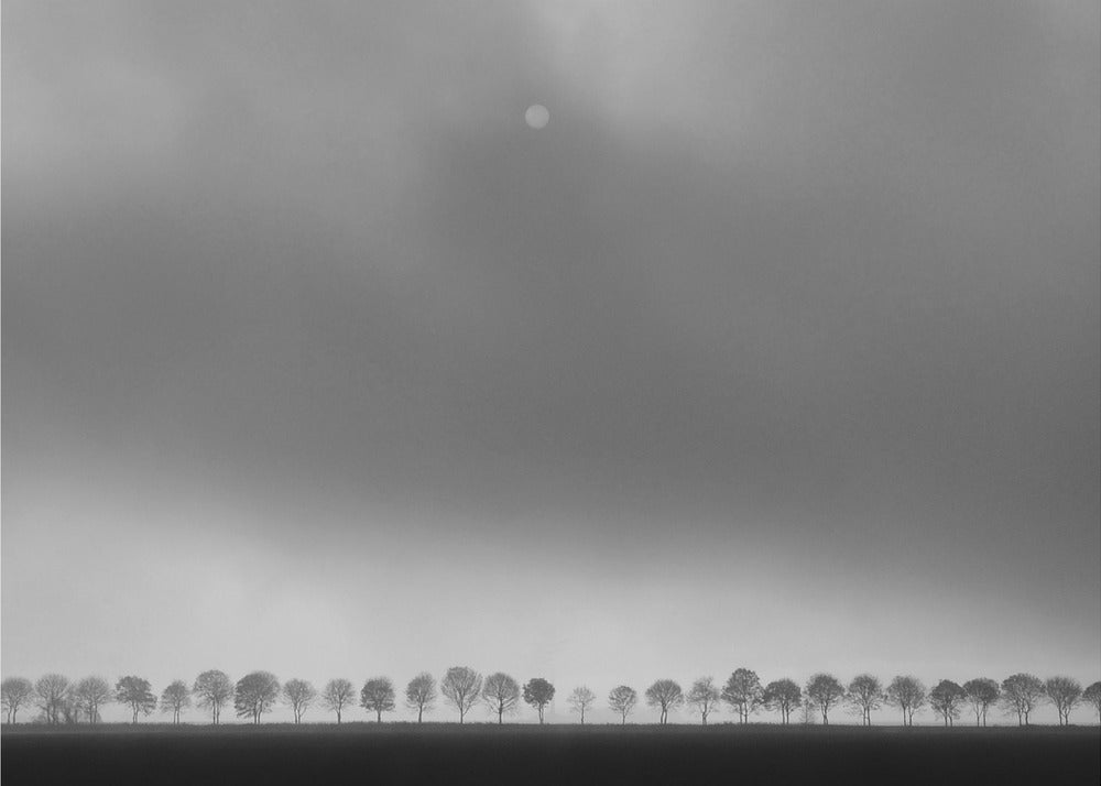 Paesaggio del polder | Poster - Stampe d’Arte