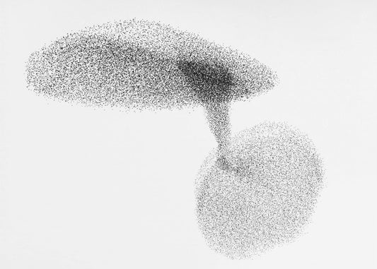 Starlings dance | Canvas