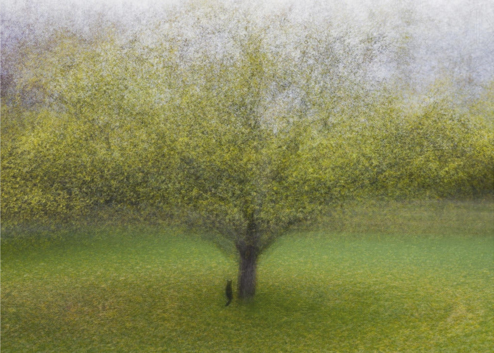 Die Katze am Baum | Poster - Kunstdruck