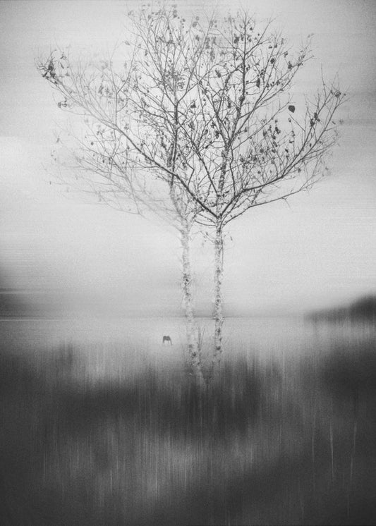 Cet arbre | Tableaux sur Toile