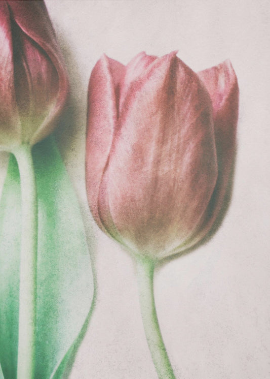 Gli amanti della primavera | Stampe su Tela