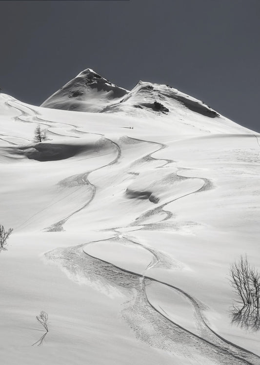 freeride | Lærredsbilleder