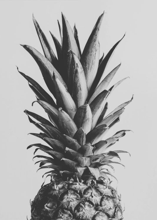 Ananas Bianco e Nero 02 | Stampe su Tela