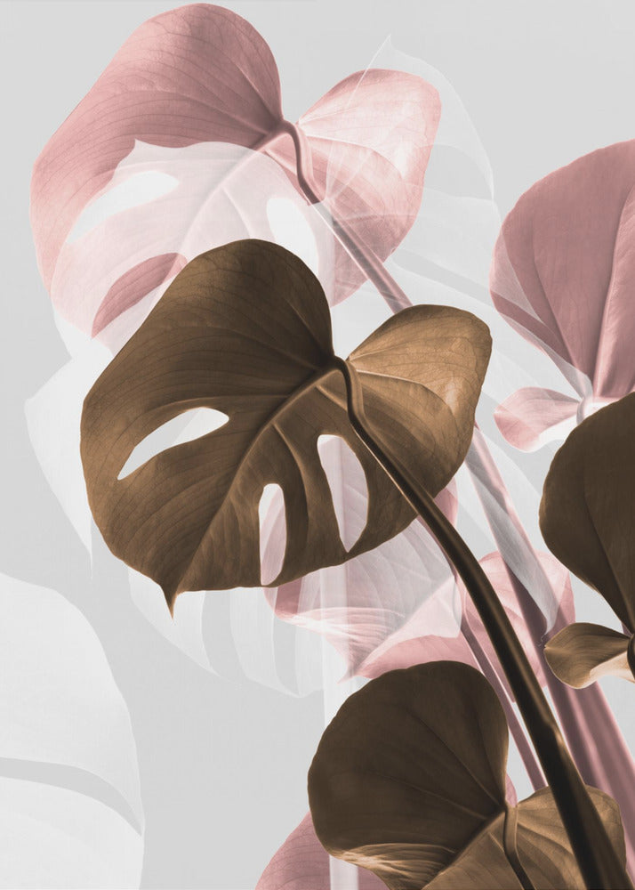 Monstera Creative 11 | Leinwand-Bilder
