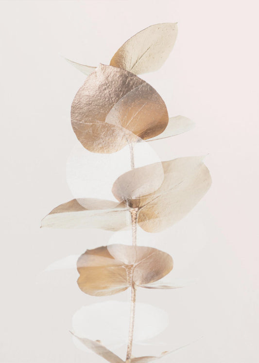 Eukalyptus Kreativ Guld 04 | Lærredsbilleder