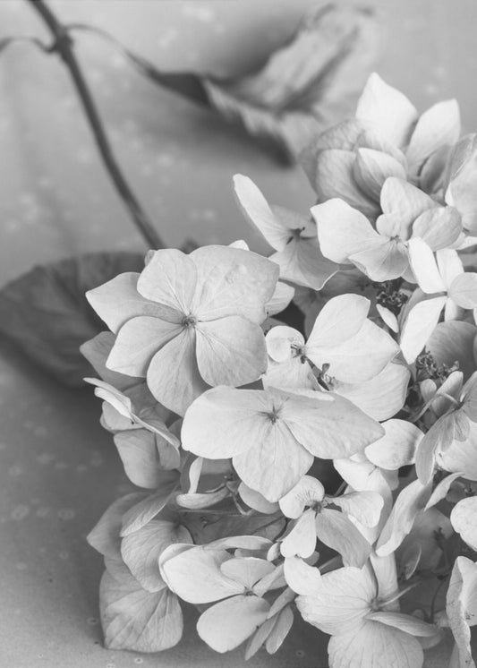 Piatto con fiori secchi_bianco e nero | Stampe su Tela