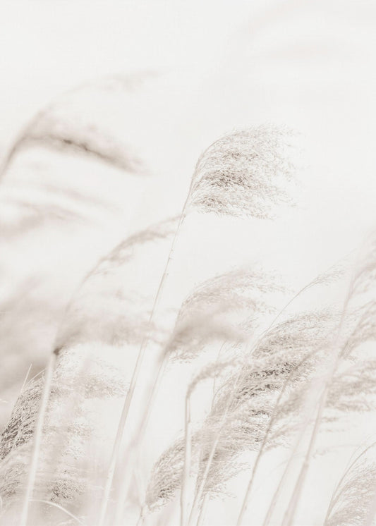 ROSEAU | Tableaux sur Toile