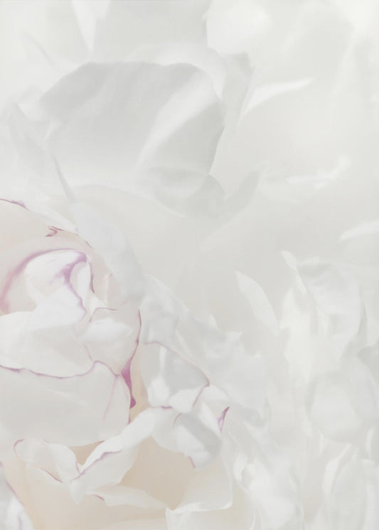 Peony 21 | Poster