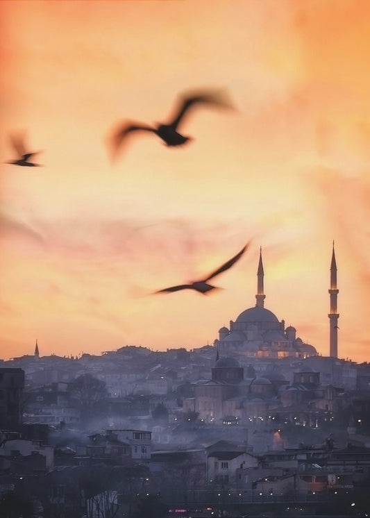 Sunset in Istanbul | Canvas