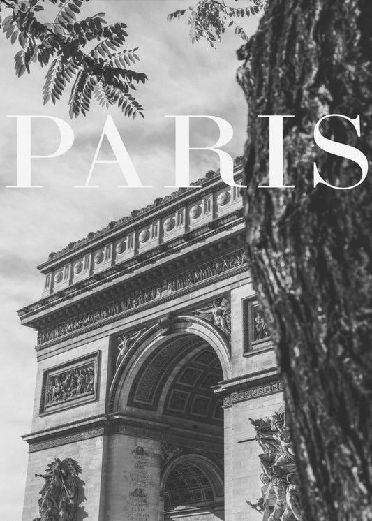 Texto de París 7 | Impresiones en Lienzo