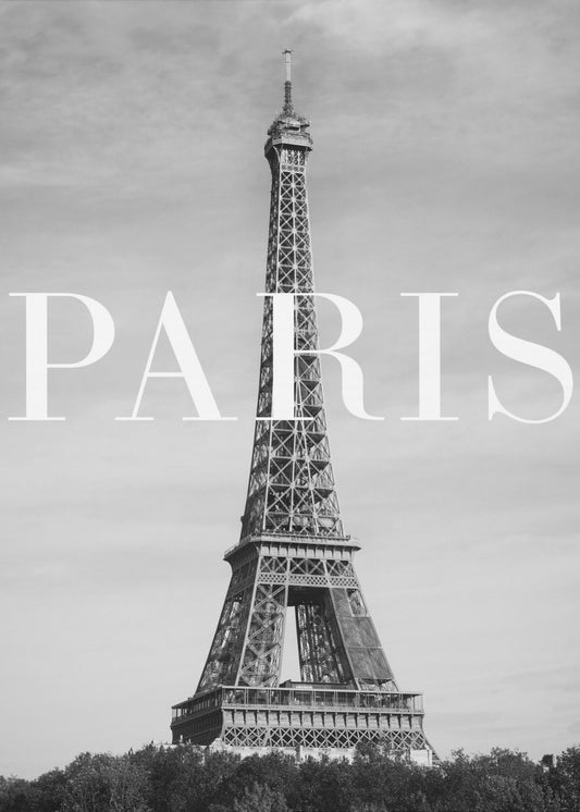 Texto de París 2 | Impresiones en Lienzo