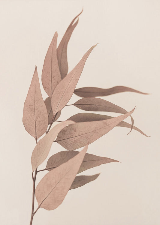 Dried Eucalyptus | Canvas
