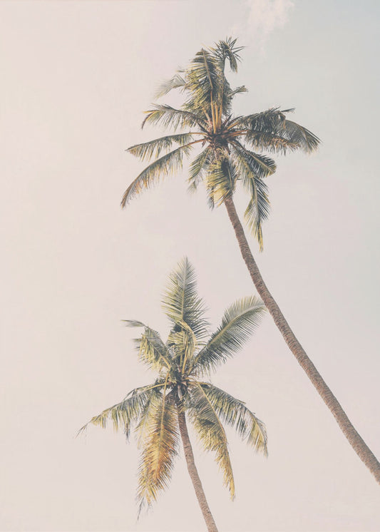 Palmiers tropicaux | Tableaux sur Toile