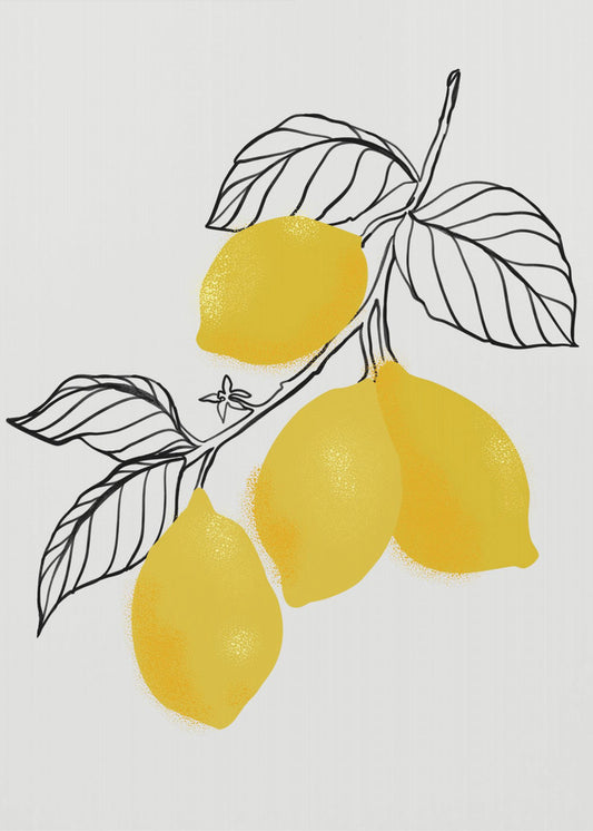 Citroner | Canvas